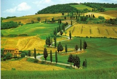 Galerie photo      En route pour la Toscane !